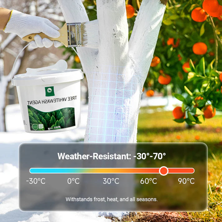 Long-Lasting Tree Whitewash Agent (BUY 1 GET 1 FREE)