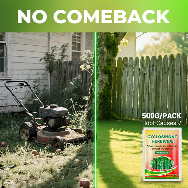 Cyclosinone Herbicide Granules (Buy 2 Get 2 FREE)