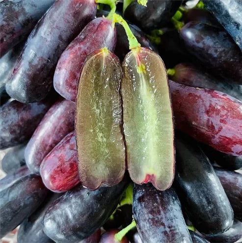 🍇Sweet Sapphire Grapes Seeds (Pack Of 20)